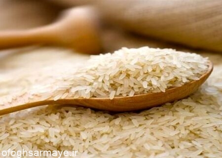کاهش قیمت برنج نسبت به سال قبل