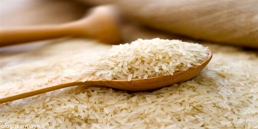 کاهش قیمت برنج نسبت به سال قبل