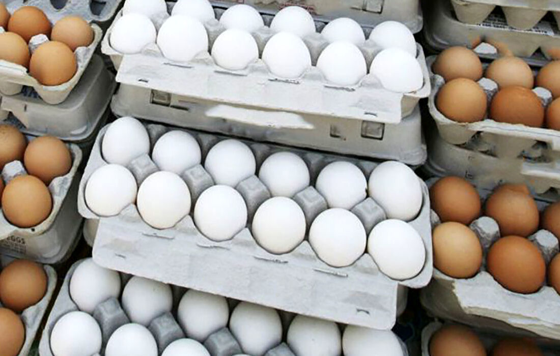 اعلام قیمت جدید تخم‌مرغ در بازار