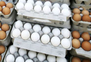 افزایش قیمت تخم مرغ در بازار